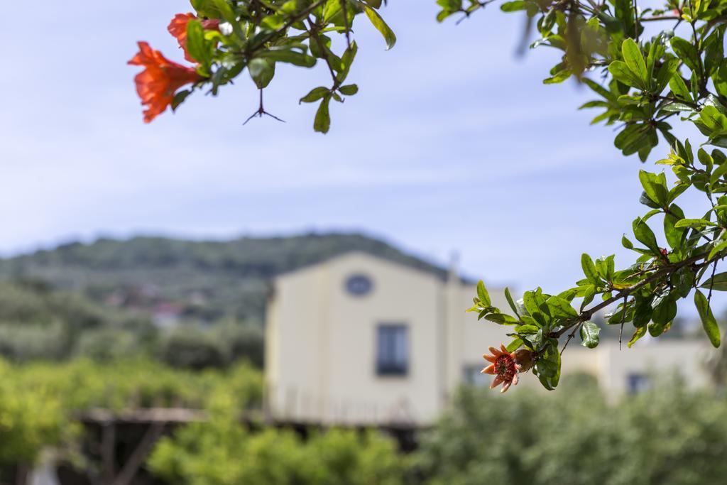 Relais Regina Giovanna Península Sorrentina Exterior foto