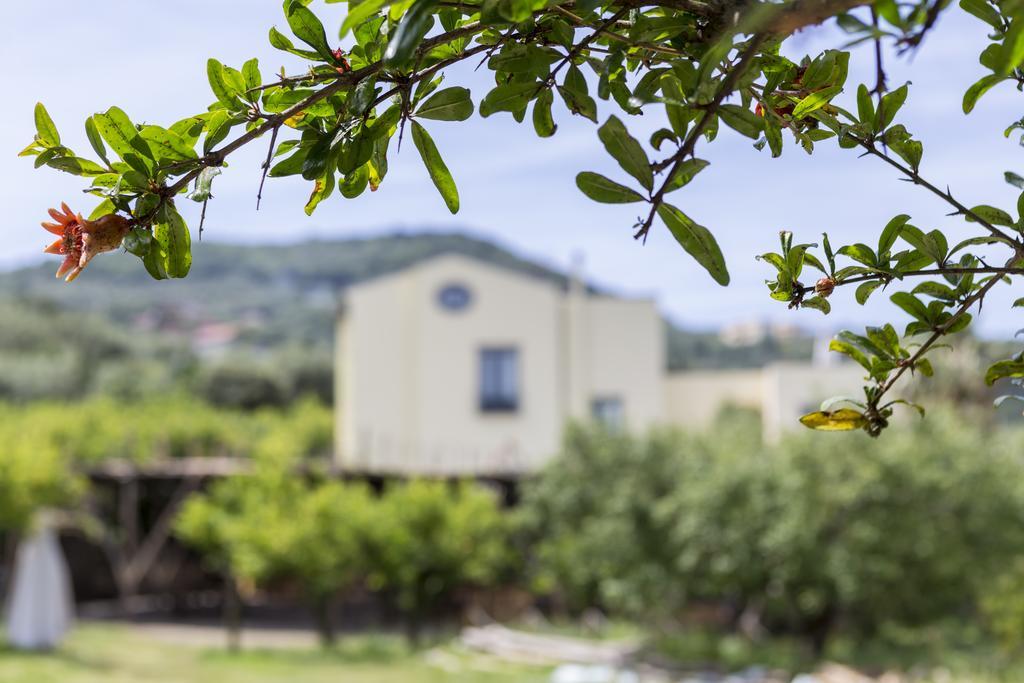 Relais Regina Giovanna Península Sorrentina Exterior foto